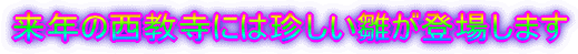 N̐ɂ͒oꂵ܂ 